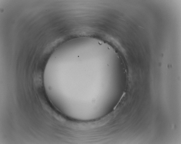 X0000076420017200610202231