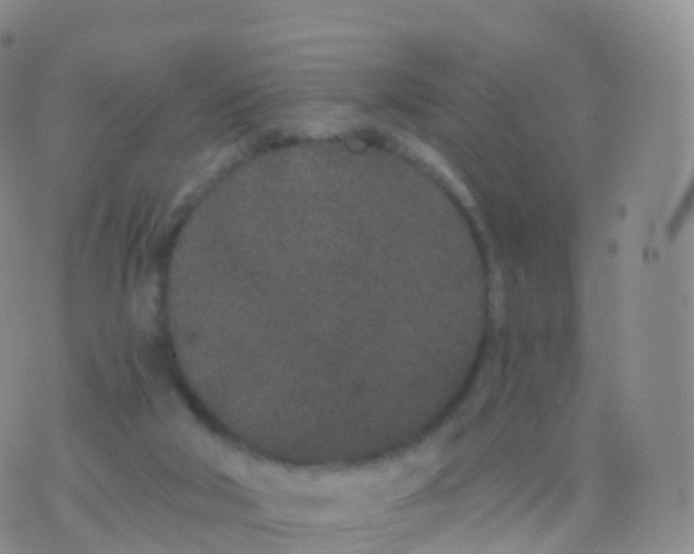 X0000076420018200610202231