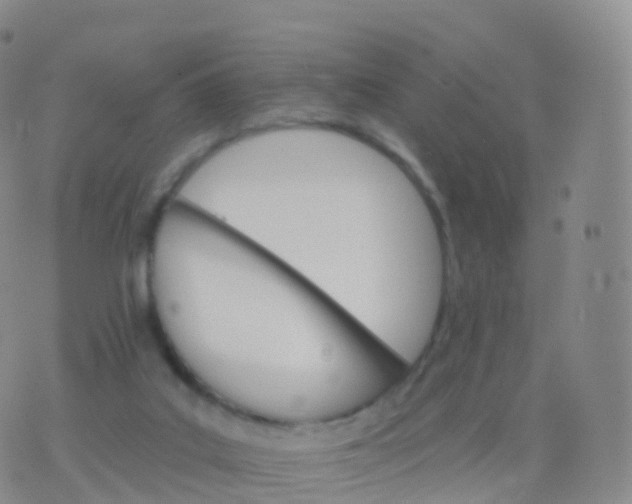 X0000076420019200610202231