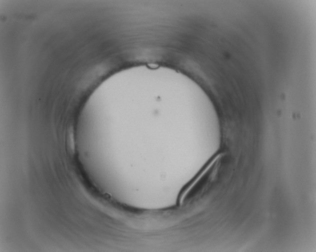 X0000076420020200610202231