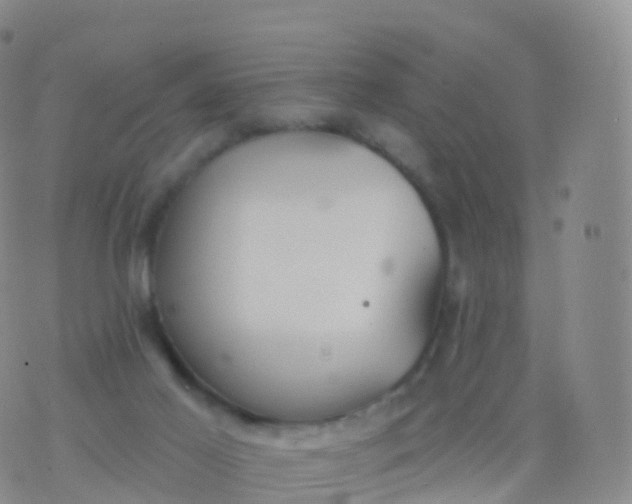 X0000076420021200610202231