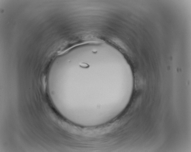 X0000076420022200610202231