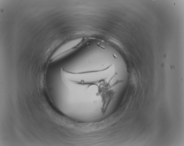 X0000076420023200610202231