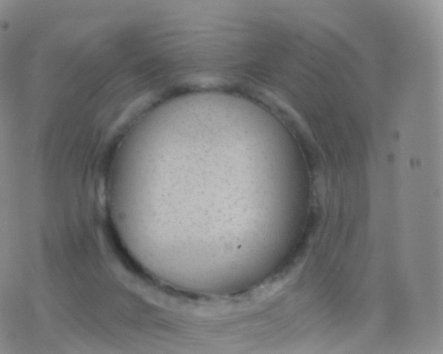 X0000076420024200610202231