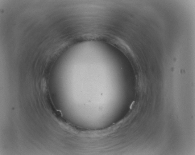 X0000076420025200610202231