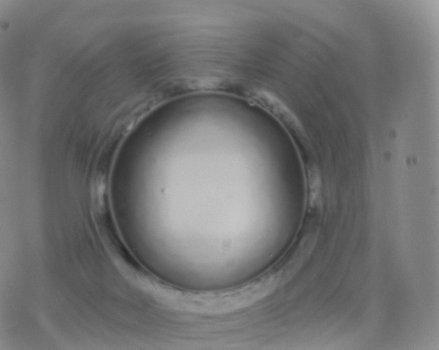 X0000076420026200610202231