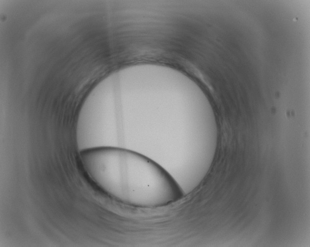 X0000076420027200610202231