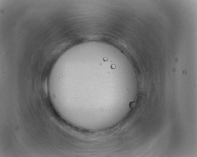 X0000076420028200610202231