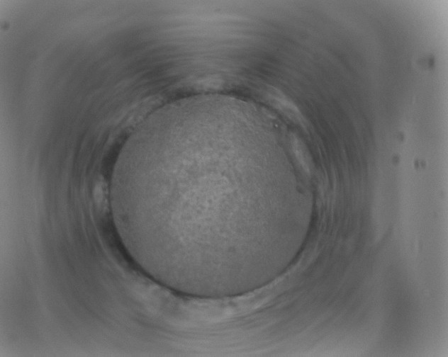 X0000076420029200610202231