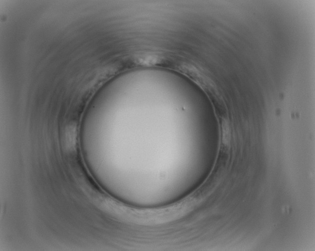 X0000076420030200610202231