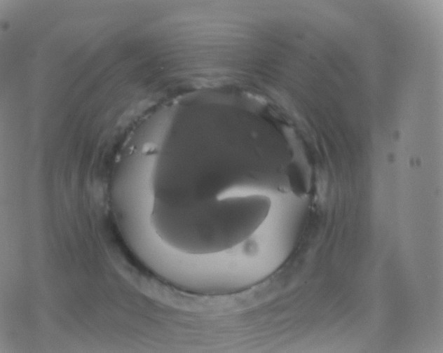 X0000076420031200610202231