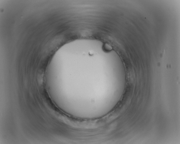 X0000076420032200610202231