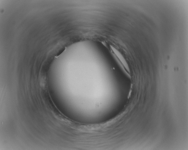 X0000076420033200610202231