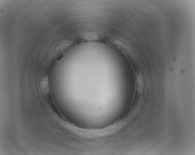 X0000076420034200610202231