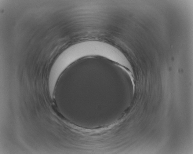 X0000076420035200610202231