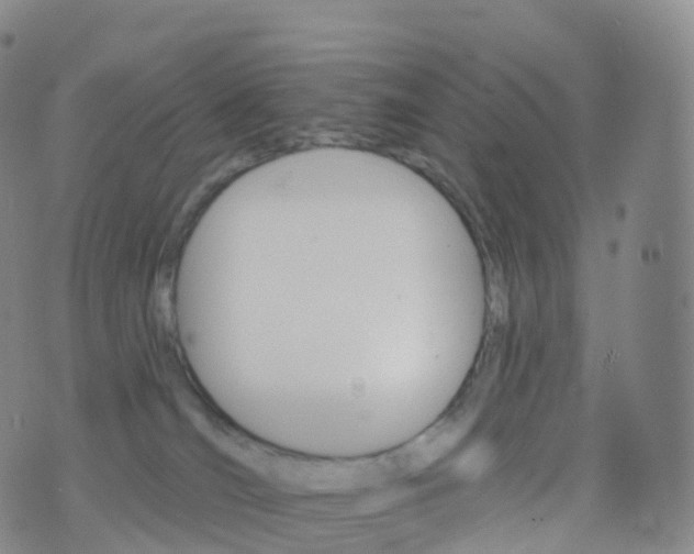 X0000076420036200610202231