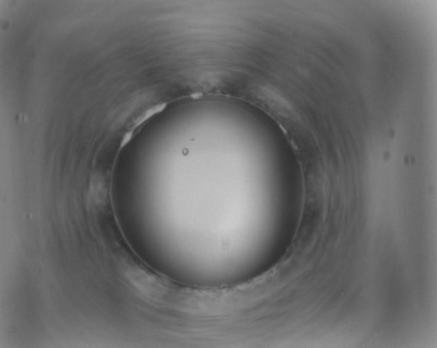 X0000076420037200610202231