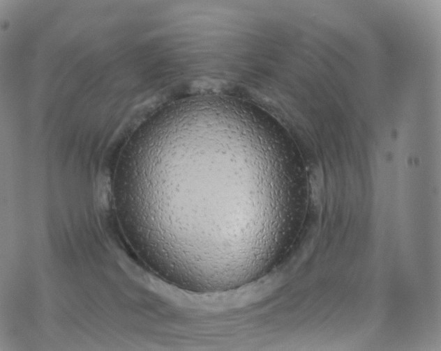 X0000076420038200610202231