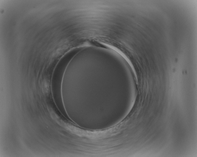 X0000076420039200610202231