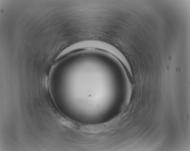 X0000076420041200610202231