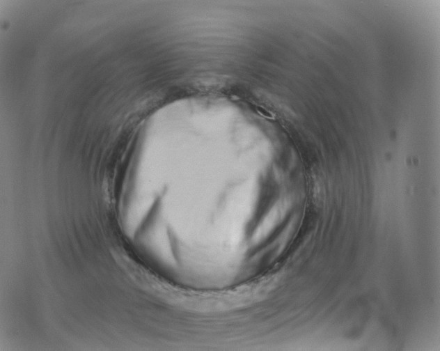 X0000076420042200610202231