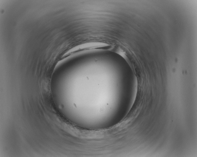 X0000076420044200610202231