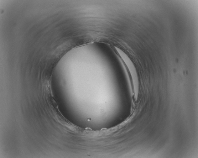 X0000076420045200610202231