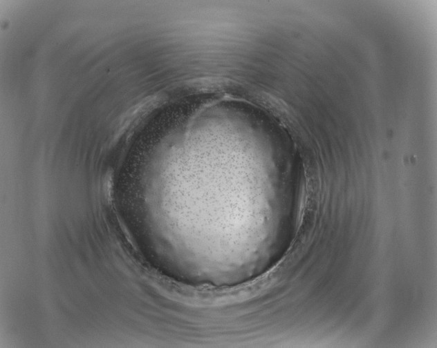 X0000076420047200610202231