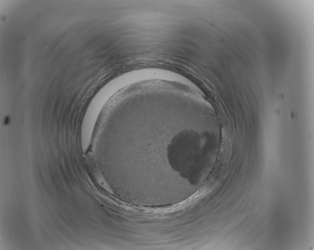 X0000076420048200610202231