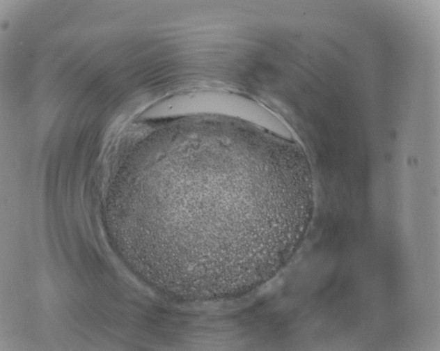 X0000076420049200610202230