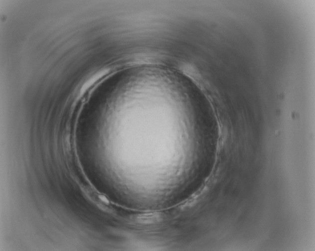 X0000076420050200610202230