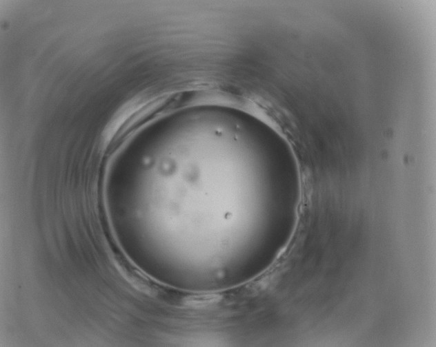 X0000076420051200610202230