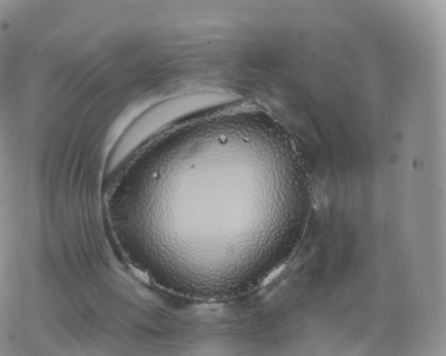 X0000076420052200610202230