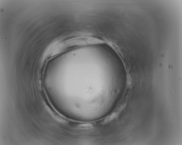 X0000076420053200610202230