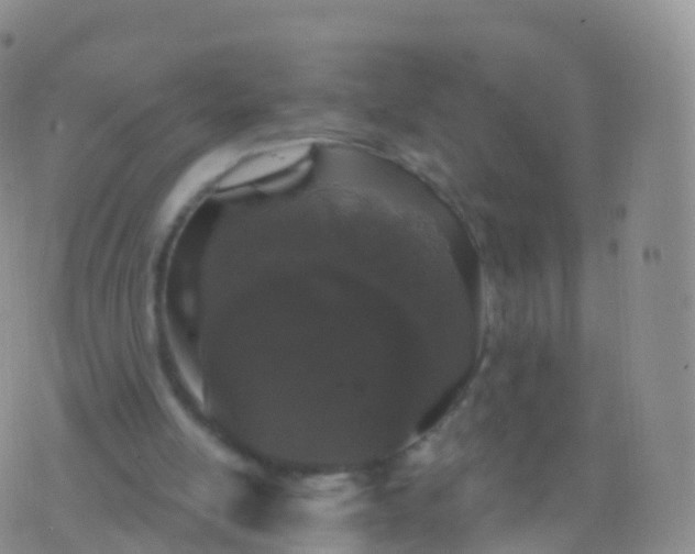 X0000076420054200610202230