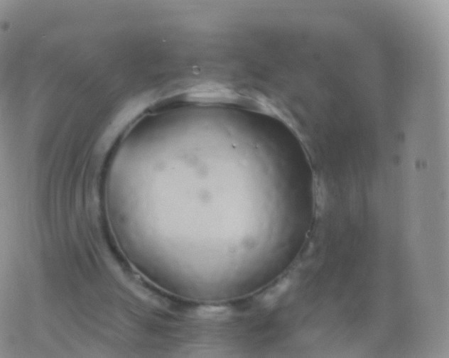 X0000076420055200610202230