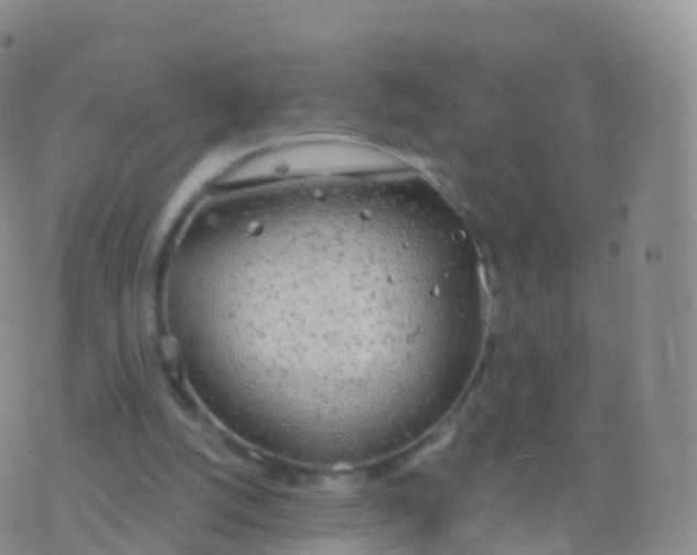 X0000076420056200610202230