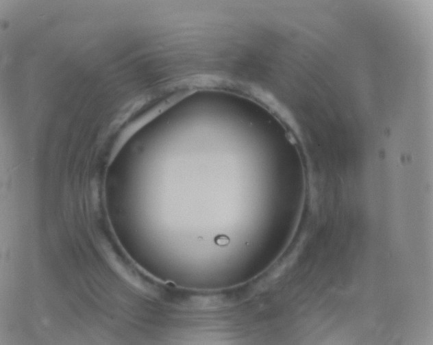 X0000076420057200610202230