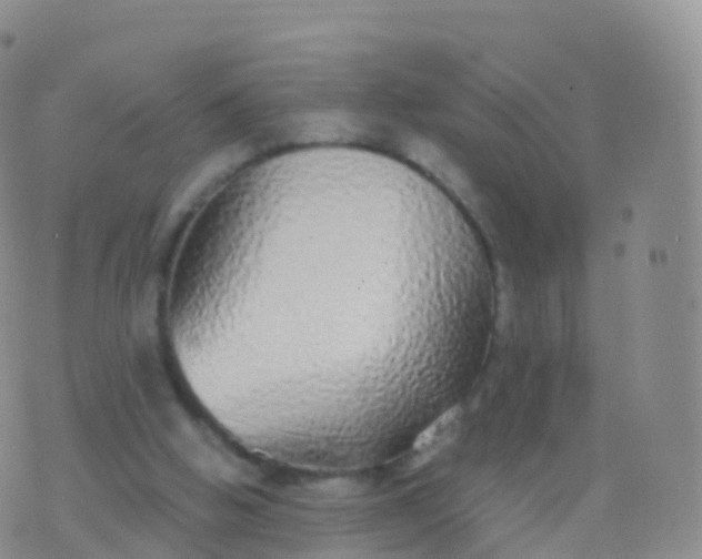 X0000076420058200610202230