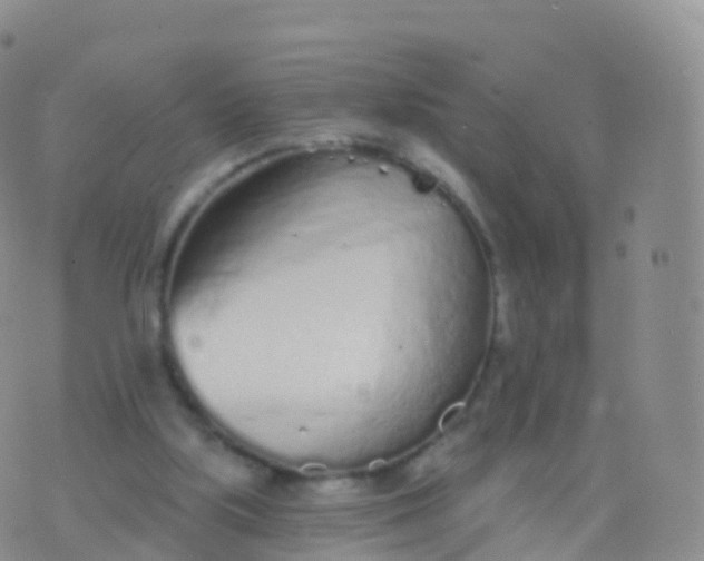 X0000076420059200610202230