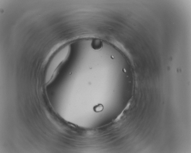 X0000076420060200610202230