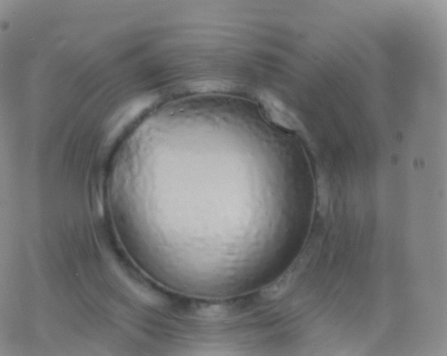 X0000076420062200610202230