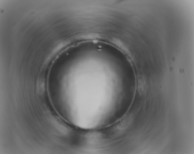 X0000076420063200610202230