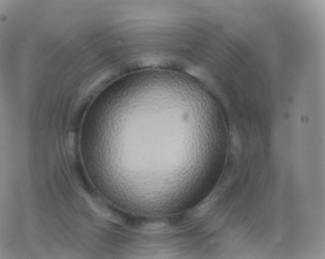 X0000076420066200610202230