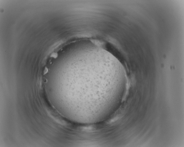 X0000076420068200610202230