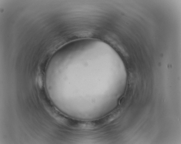 X0000076420069200610202230