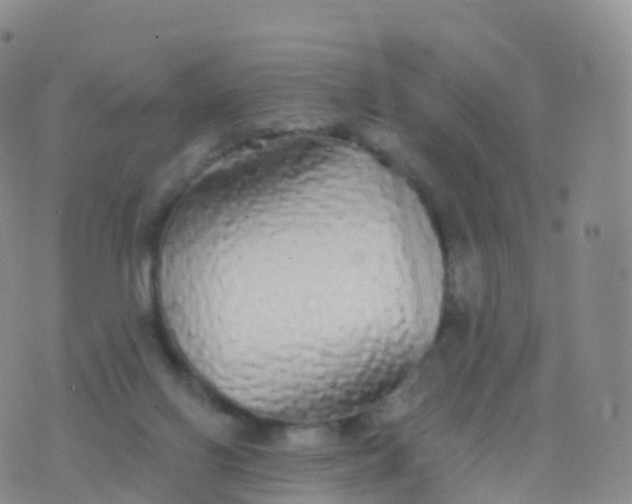 X0000076420070200610202230