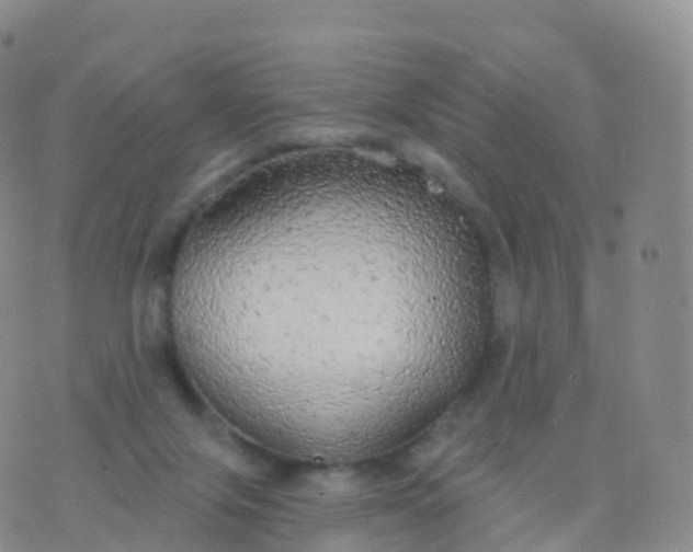 X0000076420071200610202230