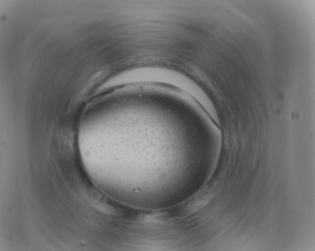 X0000076420072200610202230