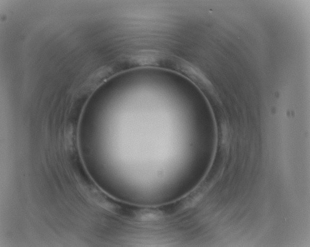 X0000076420073200610202230